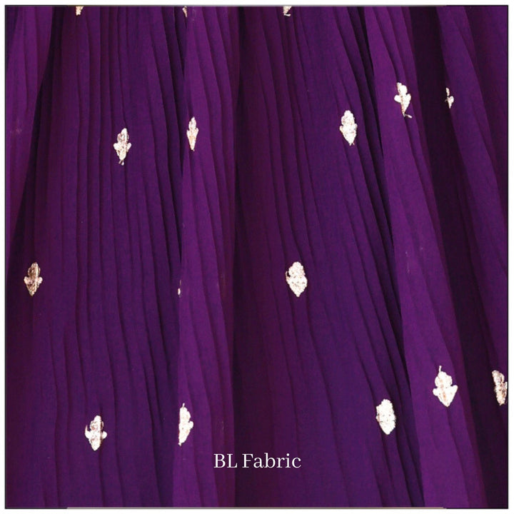 Purple color Crush Fabric Sequence Zari work Designer Lehenga Choli for Any Function BL1351 6